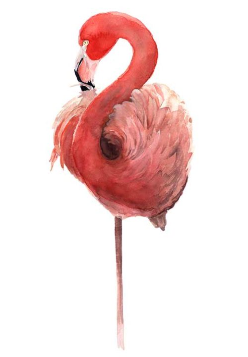Single Flamingo - Marianne Scheel