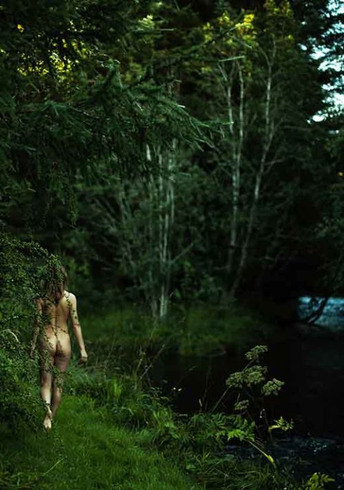 Norwegian Woods - Judith Bech
