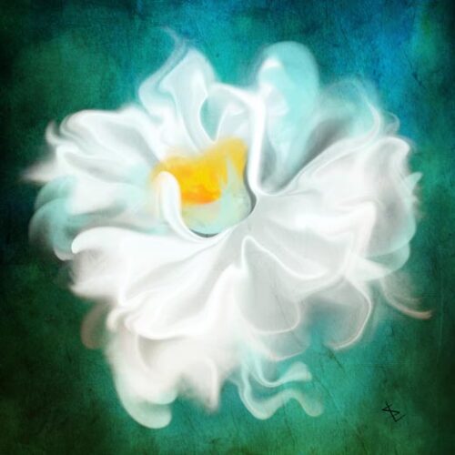 Tenderly Flower - Sannel Larson