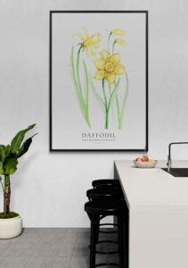 Daffodil - Stine Rødseth