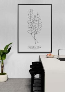 Rosemary - Stine Rødseth