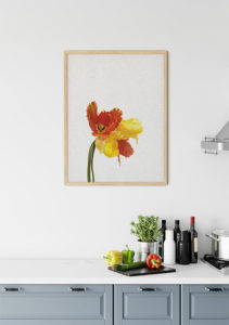 Tulip Still Life - Orara Studio