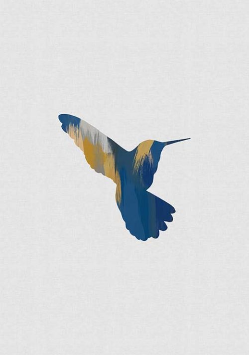 Hummingbird Blue & Yellow II - Orara Studio