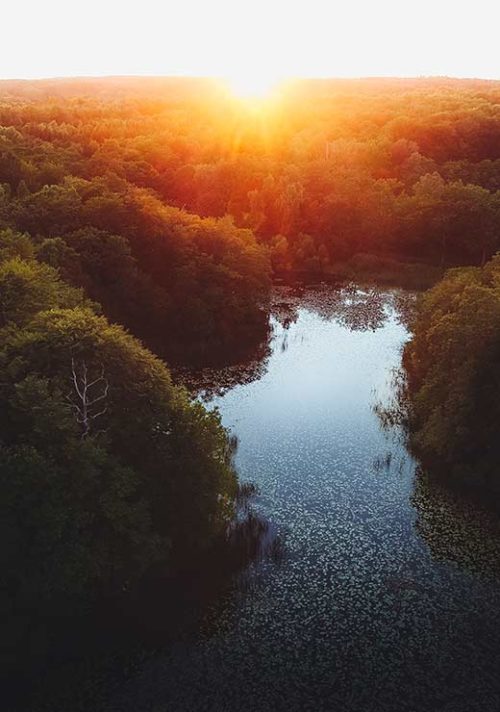Sunset over the Forest Lake - Gustav Mørch