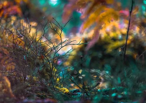 Colourful Universe - Amanda Petersen