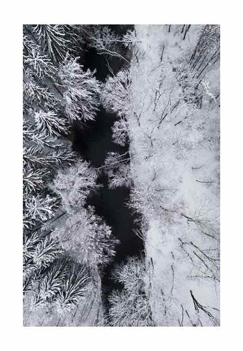 Black River Through the Snowy Winter Forest - Studio Nahili