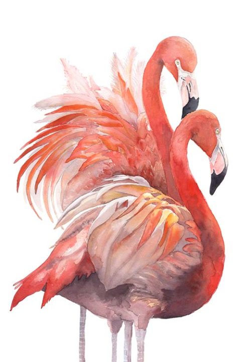 Flamingo Pair - Marianne Scheel